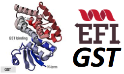 Glutathione Transferrase GST-EFI