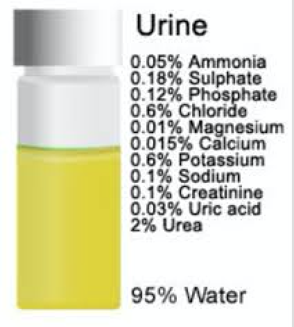 Urine Metabolome