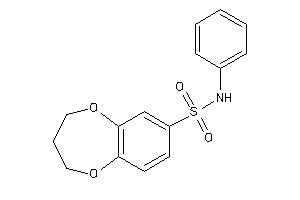 N-phenyl-3,4-dihydro-2H-1,5-benzodioxepine-7-sulfonamide