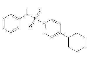 4-cyclohexyl-N-phenyl-benzenesulfonamide