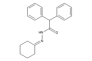 Image of N-(cyclohexylideneamino)-2,2-diphenyl-acetamide