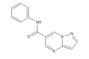 Image of N-phenylpyrazolo[1,5-a]pyrimidine-6-carboxamide