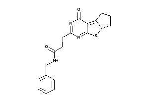 N-benzyl-3-(ketoBLAHyl)propionamide