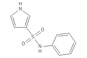 N-phenyl-1H-pyrrole-3-sulfonamide