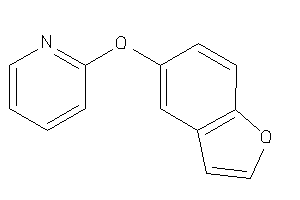 2-(benzofuran-5-yloxy)pyridine