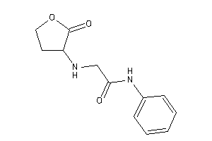 Image of 2-[(2-ketotetrahydrofuran-3-yl)amino]-N-phenyl-acetamide