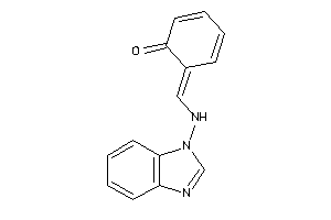 Image of 6-[(benzimidazol-1-ylamino)methylene]cyclohexa-2,4-dien-1-one
