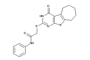 2-[(ketoBLAHyl)thio]-N-phenyl-acetamide