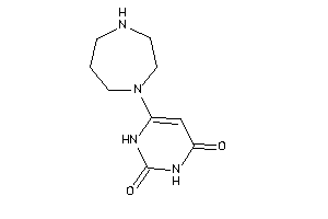 6-(1,4-diazepan-1-yl)uracil
