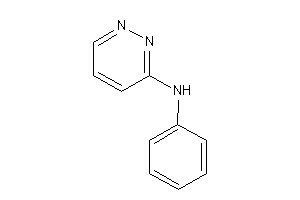 Phenyl(pyridazin-3-yl)amine