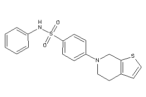 4-(5,7-dihydro-4H-thieno[2,3-c]pyridin-6-yl)-N-phenyl-benzenesulfonamide