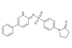 4-(2-ketopyrrolidino)-N-(5-phenyl-1H-pyridin-2-ylidene)benzenesulfonamide