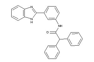 N-[3-(1H-benzimidazol-2-yl)phenyl]-2,2-diphenyl-acetamide