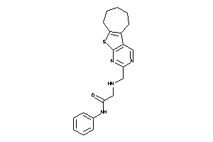 Image of N-phenyl-2-(BLAHylmethylamino)acetamide