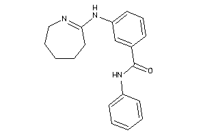 N-phenyl-3-(3,4,5,6-tetrahydro-2H-azepin-7-ylamino)benzamide