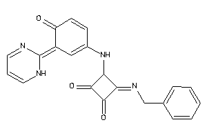 3-benzylimino-4-[[4-keto-3-(1H-pyrimidin-2-ylidene)cyclohexa-1,5-dien-1-yl]amino]cyclobutane-1,2-quinone