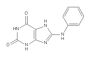 Image of 8-anilino-7H-xanthine