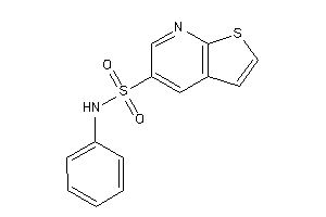 N-phenylthieno[2,3-b]pyridine-5-sulfonamide
