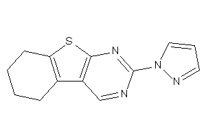2-pyrazol-1-yl-5,6,7,8-tetrahydrobenzothiopheno[2,3-d]pyrimidine