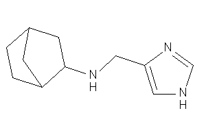 Image of 1H-imidazol-4-ylmethyl(2-norbornyl)amine