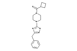 [4-(3-benzyl-1,2,4-thiadiazol-5-yl)piperazino]-cyclobutyl-methanone