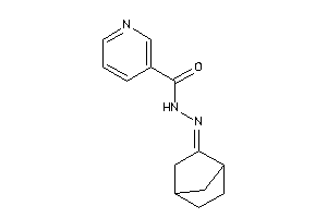 N-(norbornan-2-ylideneamino)nicotinamide