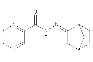 N-(norbornan-2-ylideneamino)pyrazinamide