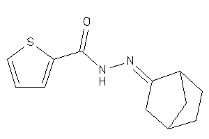 N-(norbornan-2-ylideneamino)thiophene-2-carboxamide