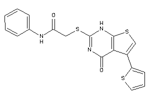 2-[[4-keto-5-(2-thienyl)-1H-thieno[2,3-d]pyrimidin-2-yl]thio]-N-phenyl-acetamide