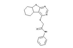 2-(4b,5,6,7,8,8a-hexahydrobenzothiopheno[2,3-d]pyrimidin-4-ylthio)-N-phenyl-acetamide