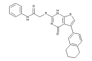 2-[(4-keto-5-tetralin-6-yl-1H-thieno[2,3-d]pyrimidin-2-yl)thio]-N-phenyl-acetamide