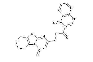 4-keto-1H-1,8-naphthyridine-3-carboxylic Acid (4-keto-6,7,8,9-tetrahydropyrimido[2,1-b][1,3]benzothiazol-2-yl)methyl Ester