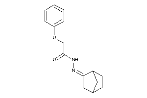 Image of N-(norbornan-2-ylideneamino)-2-phenoxy-acetamide