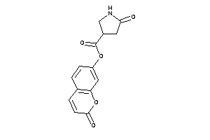Image of 5-ketopyrrolidine-3-carboxylic Acid (2-ketochromen-7-yl) Ester