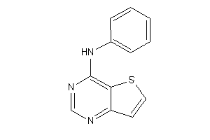 Phenyl(thieno[3,2-d]pyrimidin-4-yl)amine