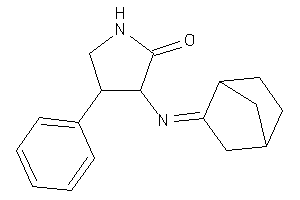 3-(norbornan-2-ylideneamino)-4-phenyl-2-pyrrolidone