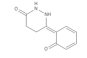 6-(6-ketocyclohexa-2,4-dien-1-ylidene)hexahydropyridazin-3-one