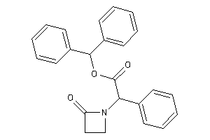 2-(2-ketoazetidin-1-yl)-2-phenyl-acetic Acid Benzhydryl Ester