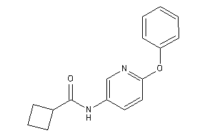 Image of N-(6-phenoxy-3-pyridyl)cyclobutanecarboxamide