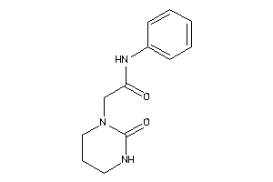 2-(2-ketohexahydropyrimidin-1-yl)-N-phenyl-acetamide