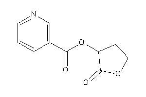 Image of Nicotin (2-ketotetrahydrofuran-3-yl) Ester