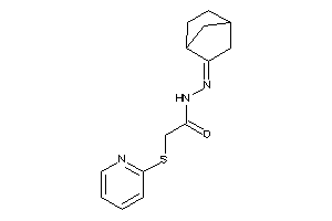 N-(norbornan-2-ylideneamino)-2-(2-pyridylthio)acetamide
