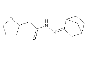 Image of N-(norbornan-2-ylideneamino)-2-(tetrahydrofuryl)acetamide