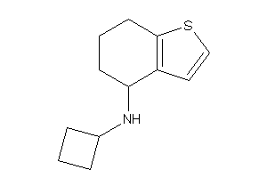 Cyclobutyl(4,5,6,7-tetrahydrobenzothiophen-4-yl)amine