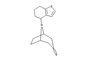 8-(4,5,6,7-tetrahydrobenzothiophen-4-yl)-8-azabicyclo[3.2.1]octan-3-one