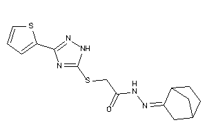 N-(norbornan-2-ylideneamino)-2-[[3-(2-thienyl)-1H-1,2,4-triazol-5-yl]thio]acetamide