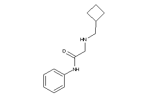 2-(cyclobutylmethylamino)-N-phenyl-acetamide