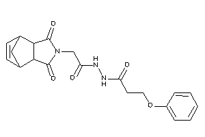N'-[2-(diketoBLAHyl)acetyl]-3-phenoxy-propionohydrazide