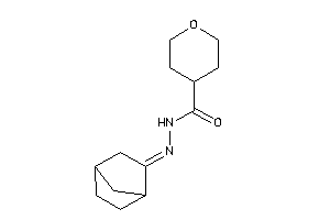 Image of N-(norbornan-2-ylideneamino)tetrahydropyran-4-carboxamide
