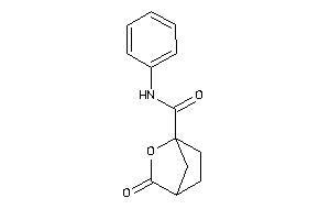 5-keto-N-phenyl-6-oxabicyclo[2.2.1]heptane-1-carboxamide